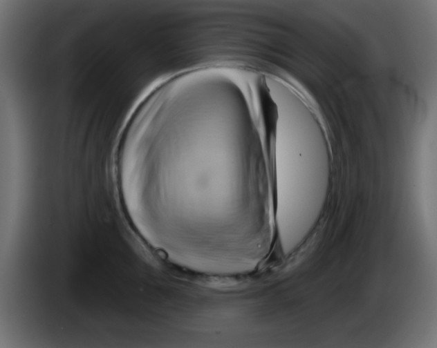 X0000083040907200703022046