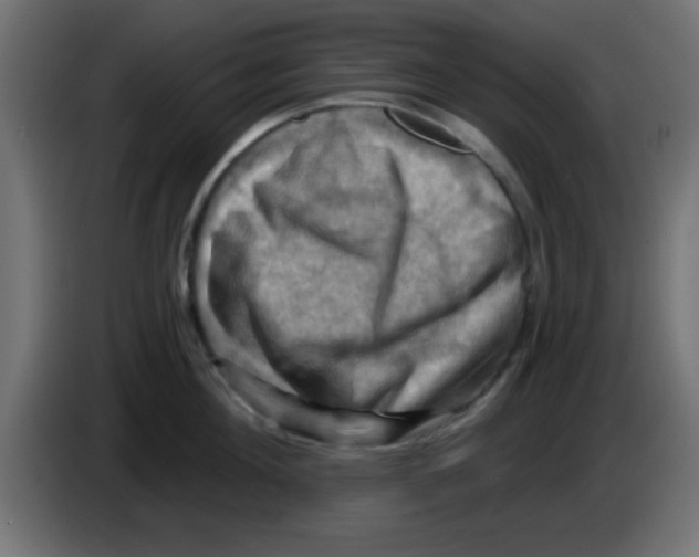 X0000083040908200703022046