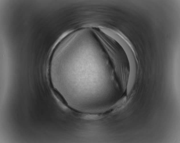 X0000083040909200703022046