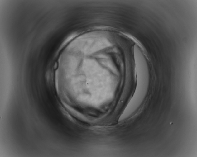 X0000083040910200703022046