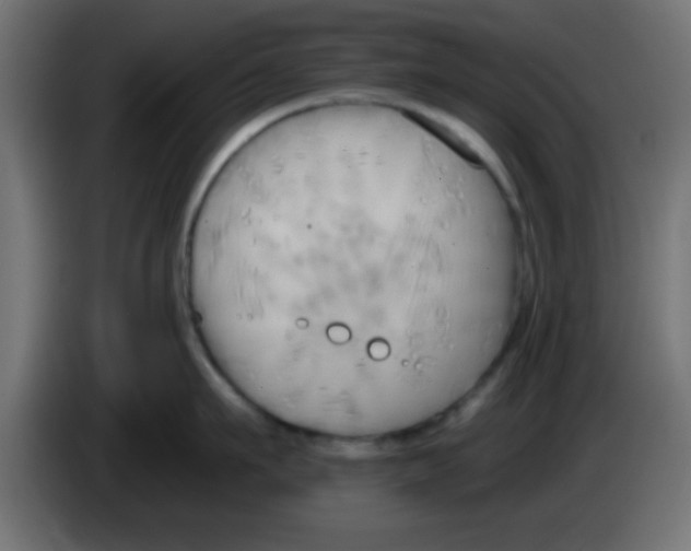 X0000083040911200703022046