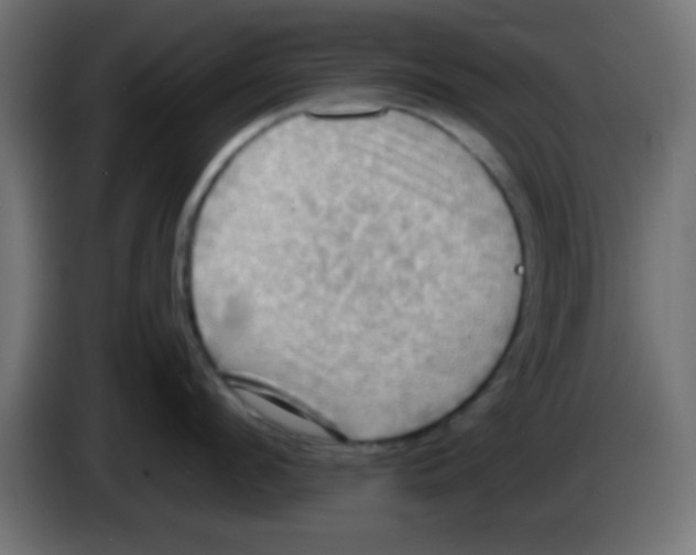 X0000083040912200703022046