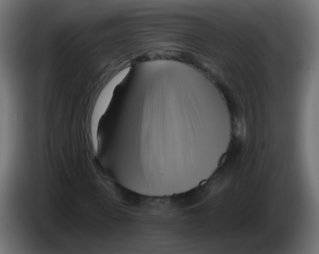 X0000083040915200703022045