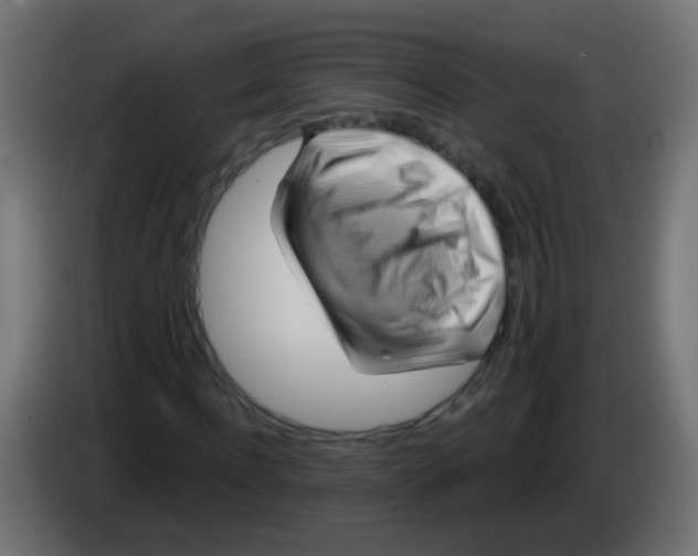 X0000083040916200703022045