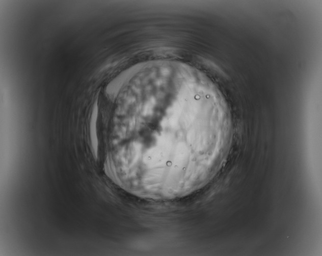 X0000083040917200703022045