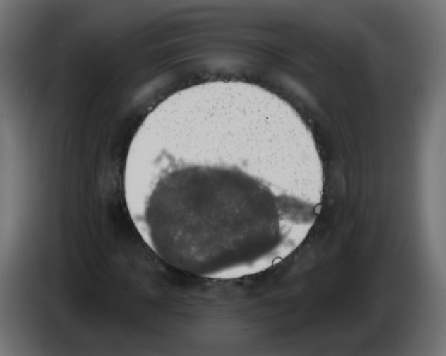 X0000083040918200703022045