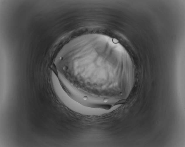 X0000083040919200703022045