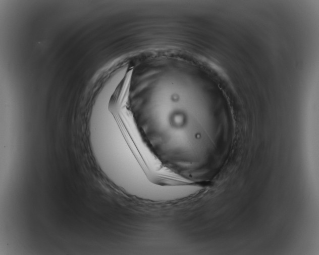 X0000083040920200703022045