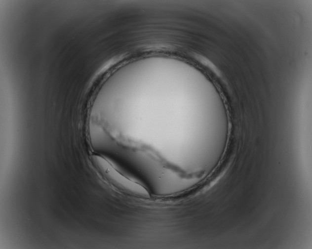 X0000083040922200703022045