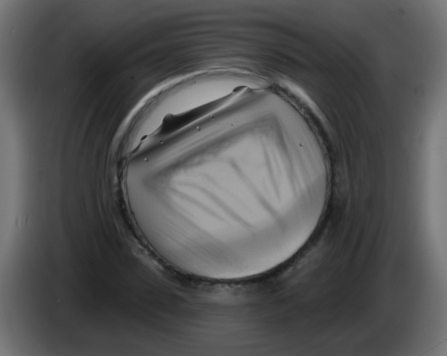 X0000083040923200703022045