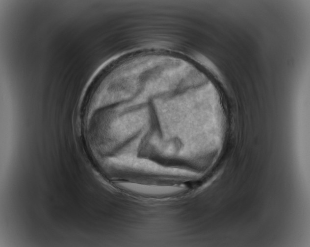 X0000083040924200703022045