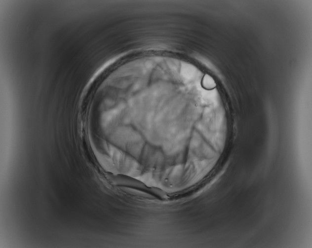 X0000083040925200703022045