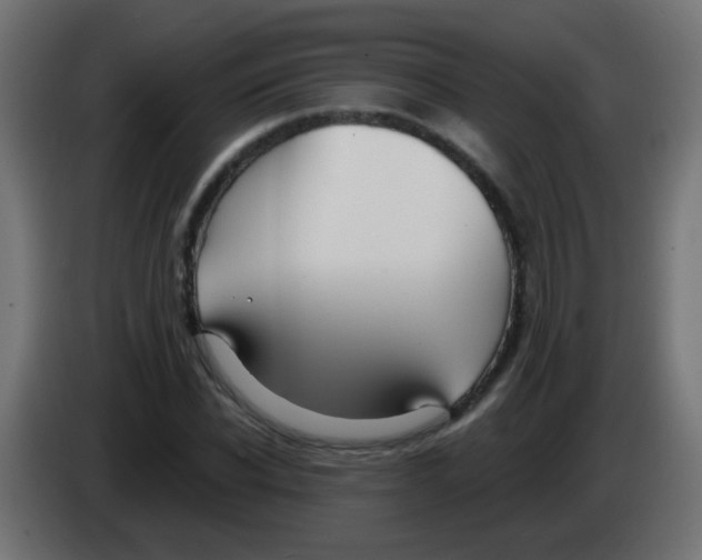 X0000083040926200703022045