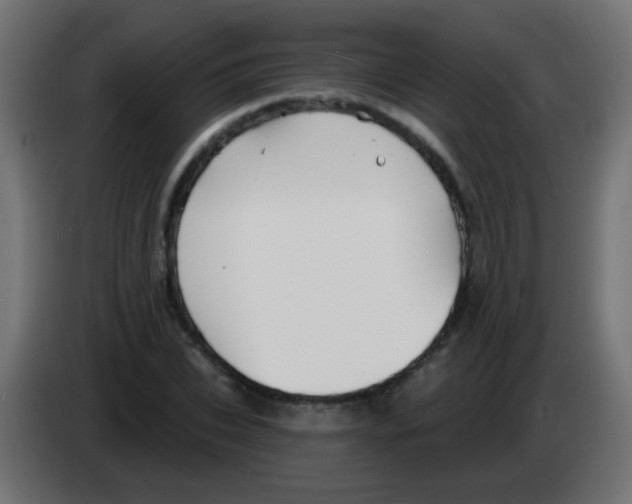 X0000083040927200703022045