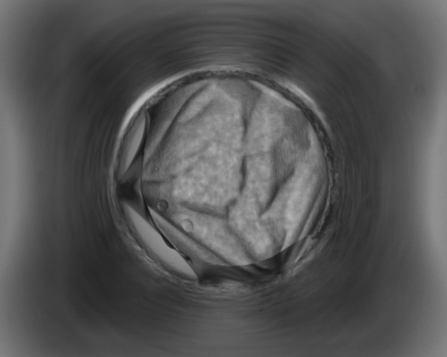 X0000083040928200703022045
