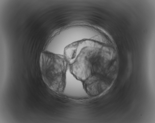 X0000083040929200703022045