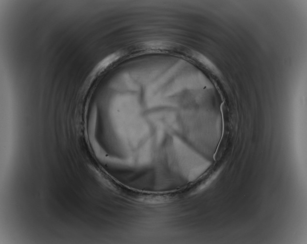 X0000083040930200703022045