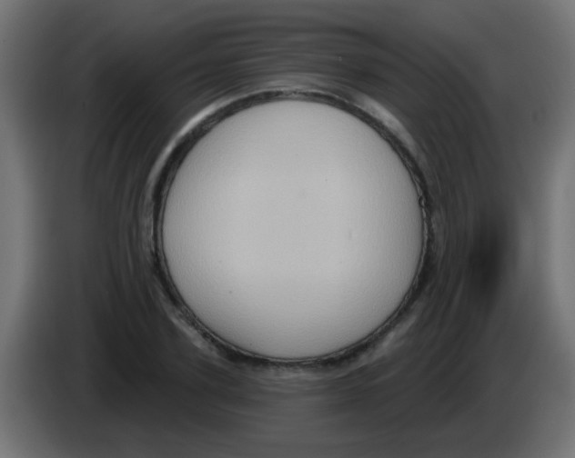 X0000083040931200703022045