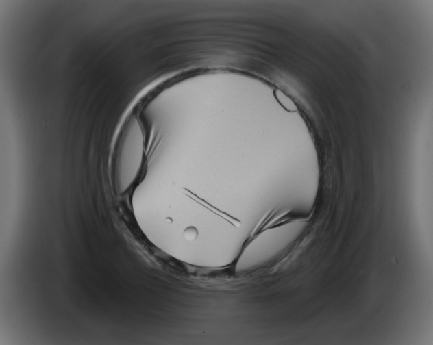 X0000083040932200703022045