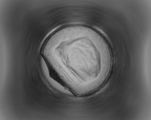 X0000083040933200703022045