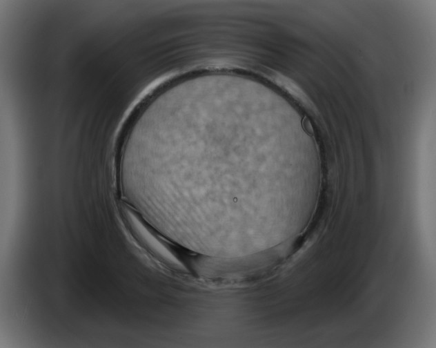 X0000083040934200703022045