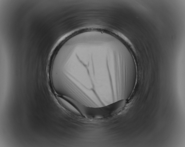 X0000083040935200703022045