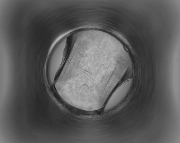 X0000083040936200703022045