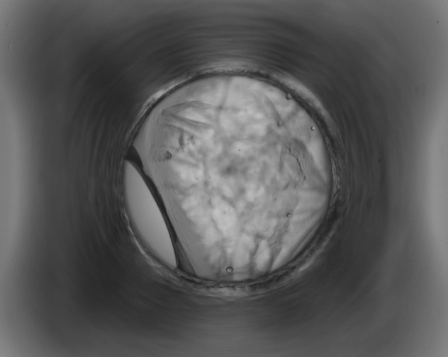 X0000083040937200703022045
