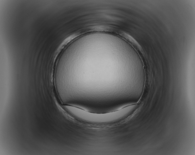 X0000083040938200703022045