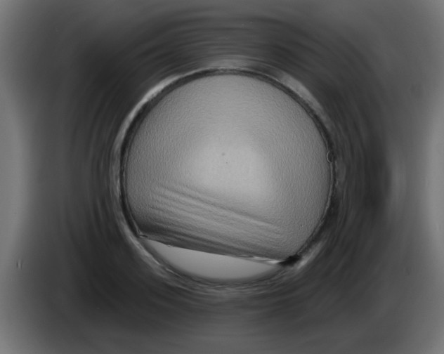 X0000083040939200703022045