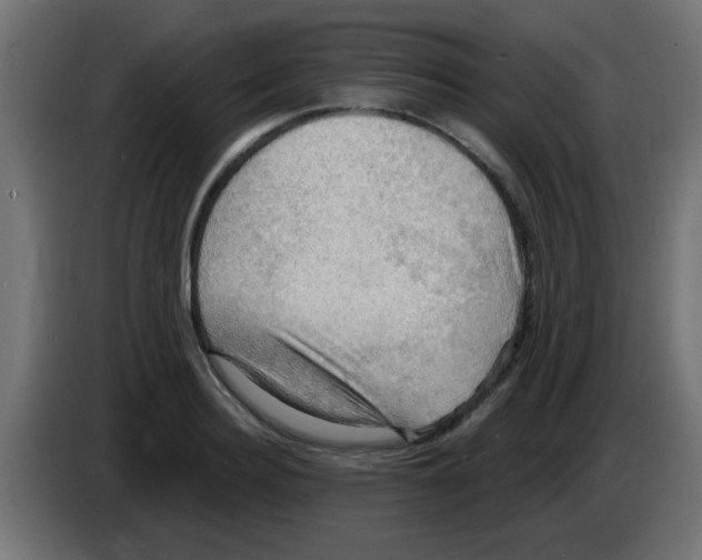 X0000083040940200703022045