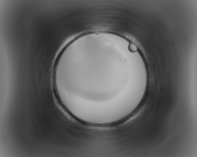 X0000083040941200703022045