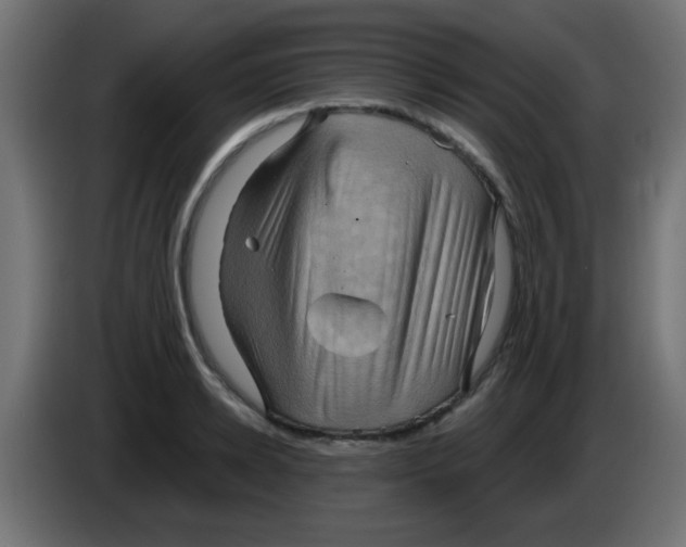 X0000083040942200703022045