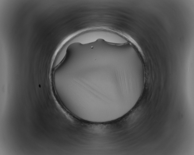 X0000083040943200703022045