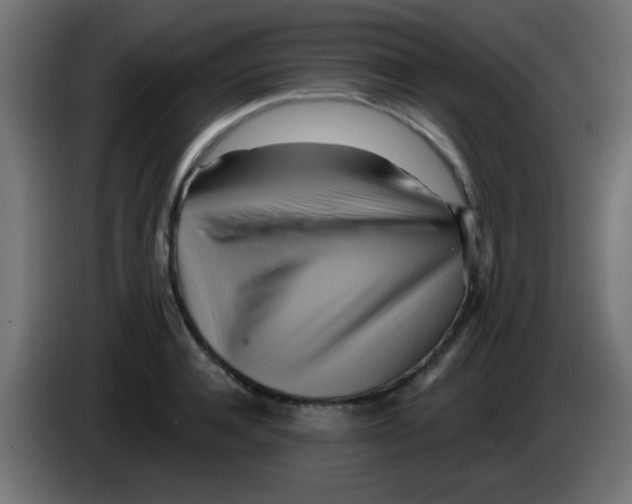 X0000083040944200703022045