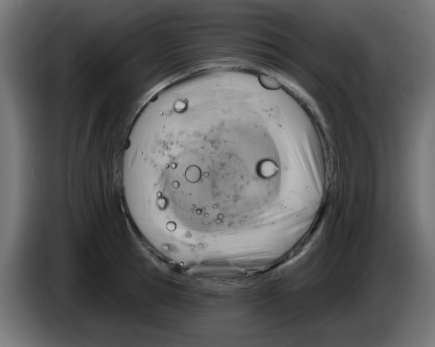 X0000083040945200703022045