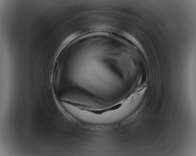 X0000083040946200703022045