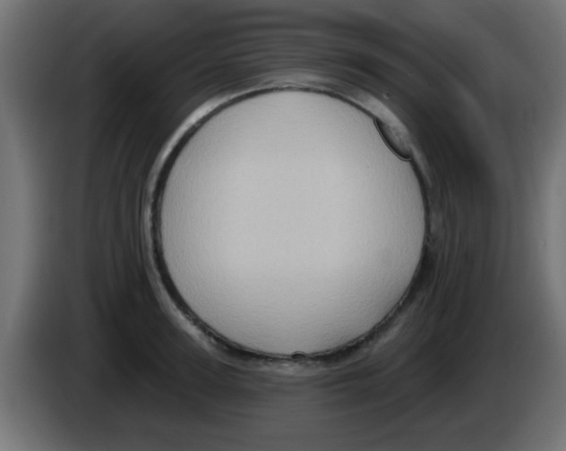 X0000083040947200703022045