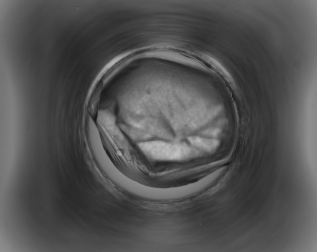 X0000083040948200703022046