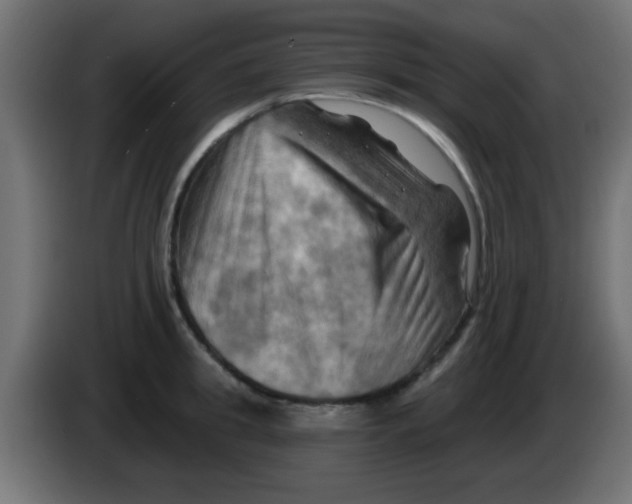 X0000083040949200703022046