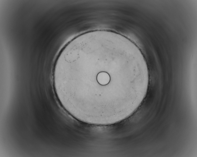 X0000083040950200703022046