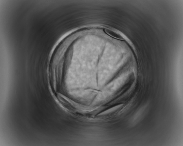 X0000083040951200703022046