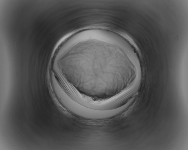 X0000083040952200703022046
