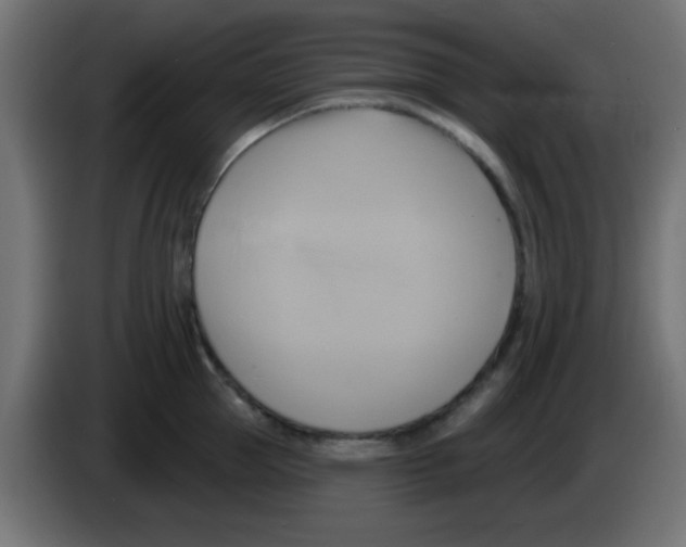 X0000083040953200703022046