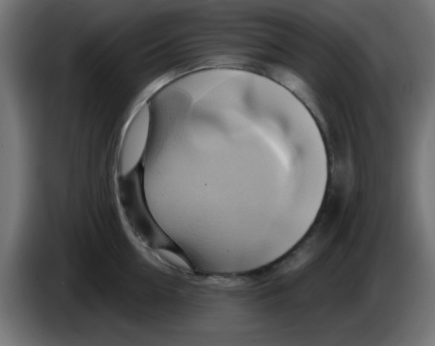 X0000083040954200703022046