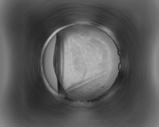 X0000083040955200703022046