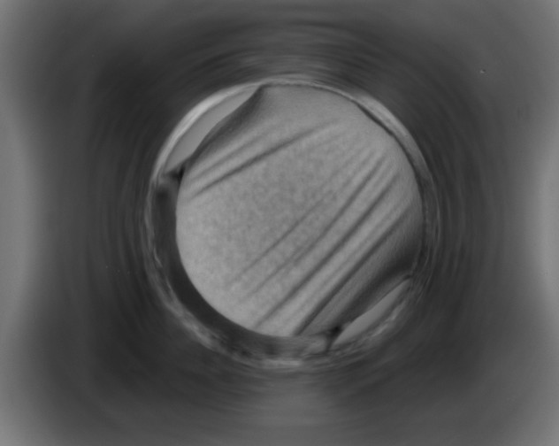 X0000083040956200703022046