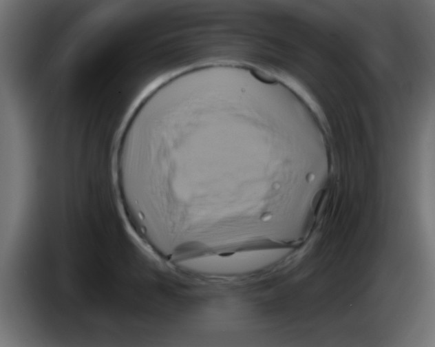 X0000083040958200703022046