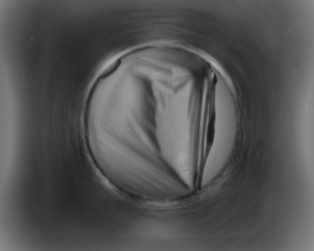 X0000083040959200703022046