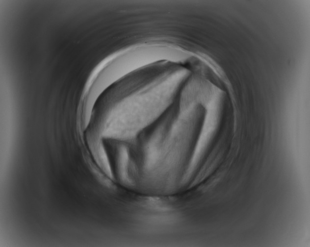 X0000083040960200703022046
